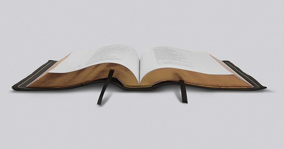 ESV Preaching Bible (Goatskin, Black) thumbnail 6