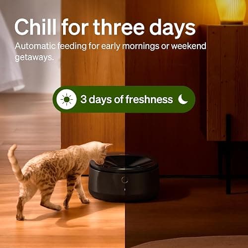 Automatic feeder thumbnail 3