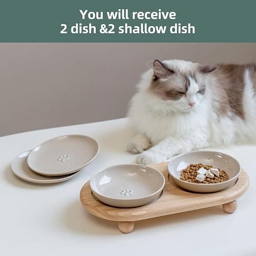 Havniva Raised Ceramics Wide Whisker Friendly Cat Dishes, Food& Water Bowl with 2 Style Stand Adjustable Anti-Choking Raised Pet Bowl Set, Anti Whisker Fatigue(2Dish+2Shallow Dish+Stand thumbnail 6