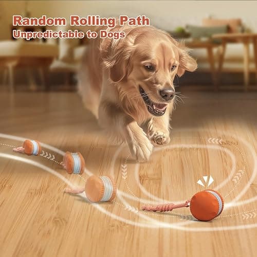 QGI Interactive Dog Toys, Random Path Electric Automatic Moving and Rolling Dogs Toy with Rope for Small Medium Large Dogs, Motion-Activated Dog Stimulation Toy for Boredom Relief (Orange) thumbnail 2