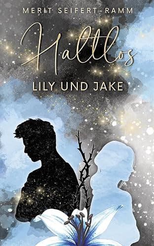 Haltlos - Lily und Jake: Young Adult Romance (-los-Trilogie) - Image 1