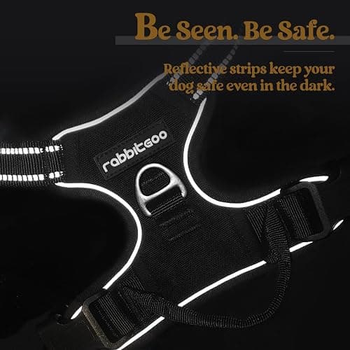 rabbitgoo Dog Harness, No Pull for Large Dogs with 2 Leash Clips, Pet Vest | No Choke with Handle, Adjustable Soft Padded, Reflective, Easy Control for Walking, Black, Large thumbnail 7
