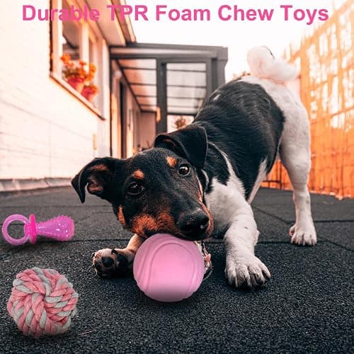 Beiker 20 Pack Pink Puppy Chew Toys - Dog Teething Toys for Puppies, Puppy Toys Toothbrush with Ropes, Soft Dogs Toy Bundle for Small Dogs, Cute Interactive Dog Balls for Chewers thumbnail 3