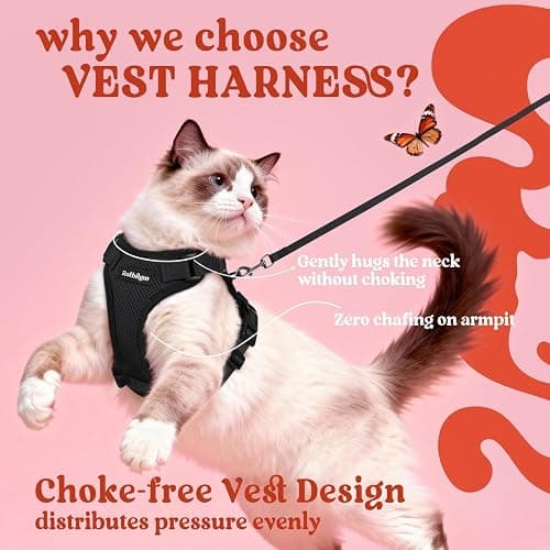 rabbitgoo Cat Harness and Leash for Walking, Escape Proof Soft Adjustable Vest Harnesses for Cats, Easy Control Breathable Reflective Strips Jacket, Black, S thumbnail 3