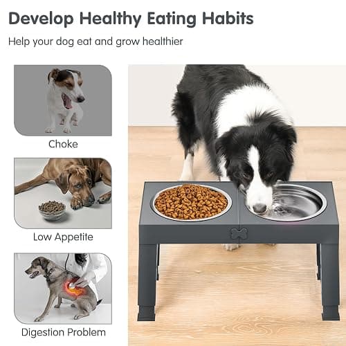 XIAZ Elevated Dog Bowls Large Breed Raised Dogs Bowl Stand Large/Medium Sized Dog Stainless Steel Food Water Bowl Stands 5 Heights Adjustable 9/11/12/14in Pet Feeder Dish Station thumbnail 3