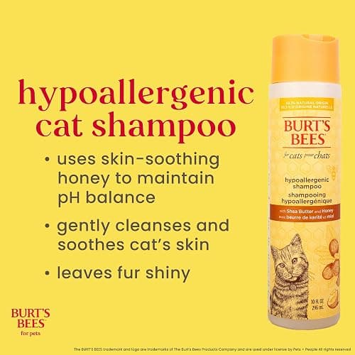 Burt's Bees for Pets Hypoallergenic Cat Shampoo with Shea Butter and Honey, Gentle Formula for Indoor Cats with Dry or Sensitive Skin, pH Balanced, Fragrance-Free, 10 Fl Oz thumbnail 3