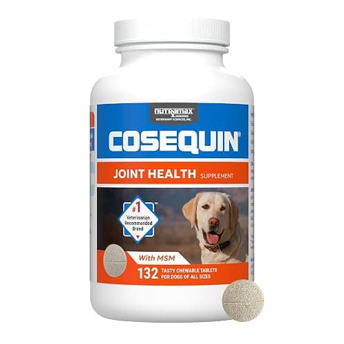 FOR MIKAH - vitamins for his kyphosis, lol - Image 1