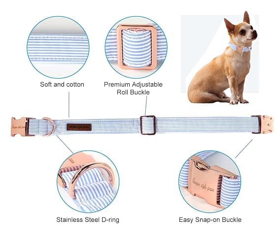 Unique Style Paws Blue Stripe Dog Collar Metal Buckle Gift Cute Collar for Small, Medium, Large Dogs thumbnail 2