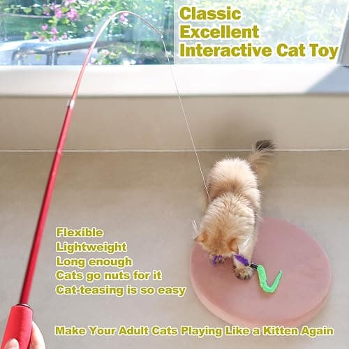 MeoHui Cat Toys for Indoor Cats, Interactive Cat Toy 2PCS Retractable Wand Toy and 9PCS Cat Feather Toys Refills, Funny Kitten Toys Cat Fishing Pole Toy for Bored Indoor Cats Chase and Exercise thumbnail 2