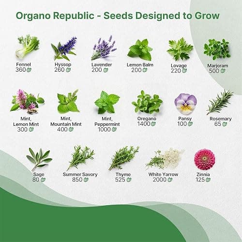 35 Medicinal & Tea Herb Seeds Variety Pack for Indoor & Outdoors. 16,335+ Non-GMO Heirloom Garden Seeds: Anise, Bergamot, Borage, Cilantro, Chamomile, Dandelion, Rosemary Seeds & More thumbnail 4