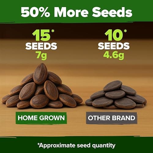 HOME GROWN Organic Crimson Sweet Watermelon Seeds 15+ Heirloom Non-GMO, High Germination, Honey Sweet Summer Fruit, Striped Skin, Home Garden & Raised Beds, High Sugar Content (Citrullus lanatus) thumbnail 4