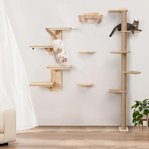 FUKUMARU Cat Wall Shelves, 2 Platform Cat Wall Furniture, Tree Shape Wall-Mounted Cat Floating Shelf with Sisal Mat, Solid Rubber Wood Cat Perch for 16 Inch Drywall, Suitable for Climb, Play, NapQQ thumbnail 9