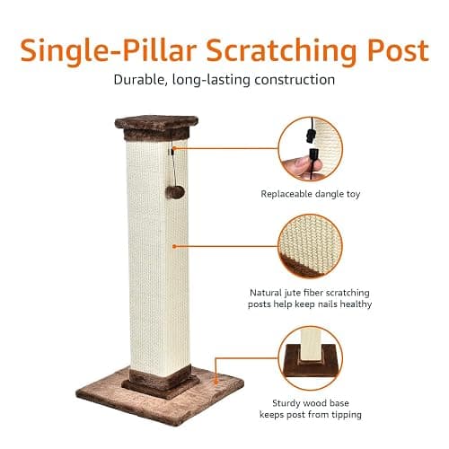 Amazon Basics Cat Scratcher - Indoor Classic Single Cat & Kittens Scratching Post with Sisal Rope, Jute Fiber, Large (35.4"H) - Brown thumbnail 2