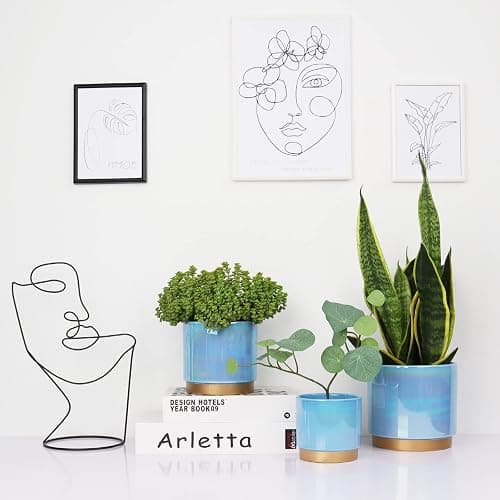 Gepege Ceramic Pots for Plants, Rainbow Pearl Glaze Planter with Drainage Hole, 6.0 inch+5.0 Inch+4.0 Inch. Indoor-Outdoor Large Round Succulent Orchid Flower Pot - 6+5+4inches - Blue thumbnail 6