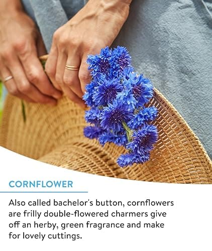 Burpee Wildflower 25,000 Bulk, 1 Bag 18 Varieties of Non-GMO Flower Seeds for Hummingbirds and Butterflies thumbnail 3