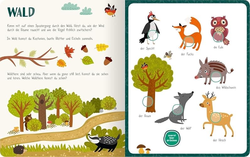Mein sprechendes Soundbuch – Erste Wörter: 50 Wörter & Geräusche | Hochwertiges Soundbuch mit gesprochenen Wörtern und dazugehörigen Sounds für Kinder ab 24 Monaten (Mein großes Geräuschebuch) thumbnail 4