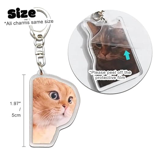 Ohjijinn 8Pcs Cat Keychain Cute Cat Meme Keychains Two Cats Talking Keyring Kawaii Charm Keychain Funny Gift For Friend, Multi, One Size thumbnail 6