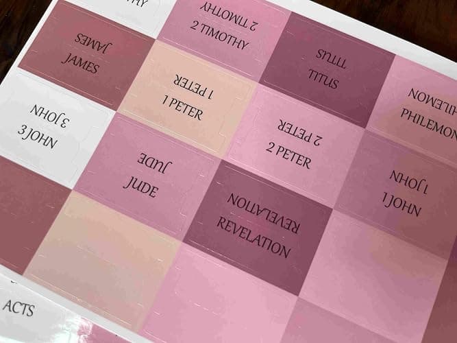 Catholic Bible Tabs, Reposition Laminated Stickers, Easy to Read and Apply Bible Tabs for Women and Man (Catholic Pink) thumbnail 6