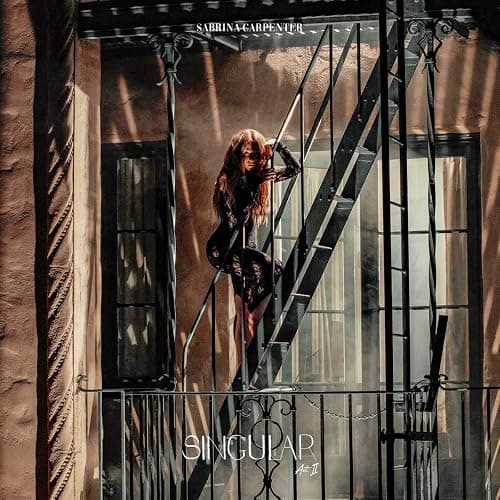 Singular Act II - Image 1