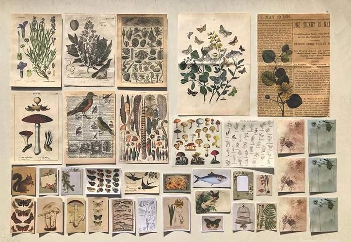 DESEACO Vintage Aesthetic Posters for Wall Decor, Green Botanical Art for Teen Girls’ Rooms, Cute Plant Journaling Supplies and Nature-Inspired Collage Kit