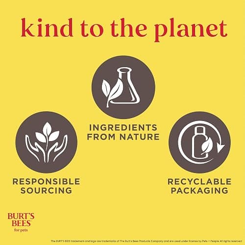 Burt's Bees for Puppies Natural Tearless 2 in 1 Shampoo and Conditioner | Made with Buttermilk and Linseed Oil | Best Tearless Puppy Shampoo for Gentle Skin and Coat | Made in USA, 16 Oz thumbnail 8