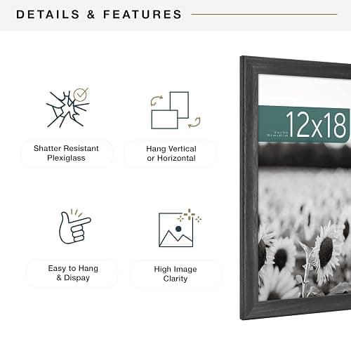 MCS Studio Gallery Classic 12x18 Picture Frame Black Woodgrain Engineered Wood, Vertical & Horizontal Wall Hanging Large Picture Frame for Photos, Posters & Art Prints (1-Pack) thumbnail 6
