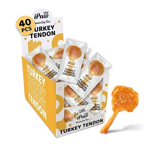 iPaw Turkey Tendons for Dogs 40 Pcs Bulk Pack, 100% Turkey and US Sourced Raw Material, Hypoallergenic, All Natural Human Grade Puppy Chew, Rawhide Alternative Dog Treats, Lollipop (Small) - Image 1