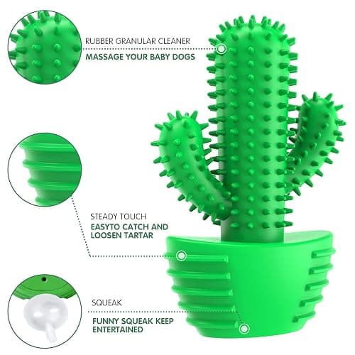 Pamlulu Dog Chew Toys Dog Toothbrush Stick Teeth Cleaning Brush Dental for Medium Large Dog, Puppy Christmas Easter Birthday Gifts, Outdoor Squeaky Toys for Aggressive Chewers Interactive Tough Toys thumbnail 5
