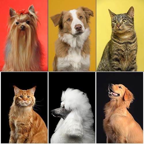Complete Pet Grooming Solution by Dog - 9PCS Kit with Slicker Brush, Deshedding Tool, and Grooming Comb for All Breeds and Sizes, Promotes Healthy Skin and Coat thumbnail 9