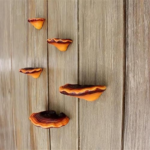 Set of 5 Mushroom Wall Shelves - Small Floating Shelves for Home Decor, Kitchen, Bedroom | Cute Resin Mushroom Shelf, Cottagecore & Reptile Gecko Habitat Accessory thumbnail 2