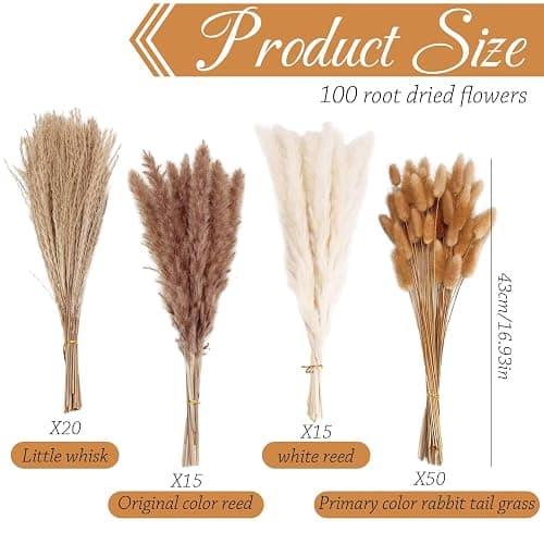 LIUYIDM 100 Stück Pampasgras Deko Trockenblumenstrauß Pampasgras | Groß Trockenblumen Deko Pampas Gras Naturmateria Trockenblumen Strauß Trocken Blumen für Wohnzimmer Schlafzimmer Boho-Partys thumbnail 3