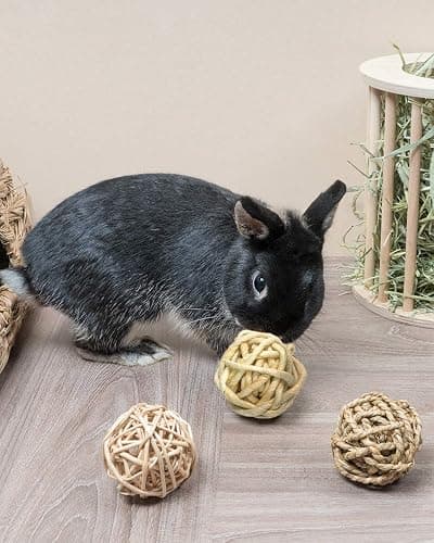 Small Animals Play Balls, Chew Grass Balls & Rolling Chew Toys for Bunny, Chinchilla, Guinea Pigs, Hamsters, Gerbils, Rats, Mice Bring Energy to Pets thumbnail 3