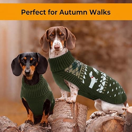 Lelepet Dachshund Sweater Turtleneck Dog Sweaters for Small Dogs (XS-XL) | Pullover Knitted Dog Coat,Cold Weather Dachshund Clothes,Fall/Winter Cozy Outfit for Wiener Dogs,Stretchy Knitwear,Army Green thumbnail 6