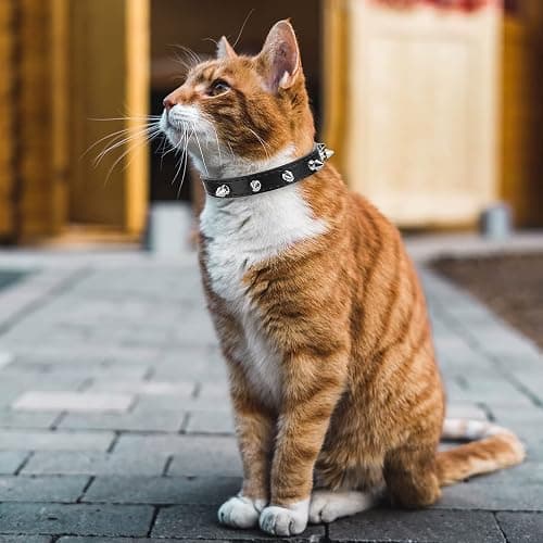 Cobee Spiked Cat Dog Collar, 2 Pieces PU Leather Soft Dog Collar Adjustable Rivet Puppy Collar Studded Cat Collar with Spikes for Boy Girl Cats Puppy S Size thumbnail 4