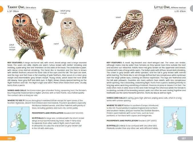 RSPB Pocket Guide to British Birds thumbnail 9