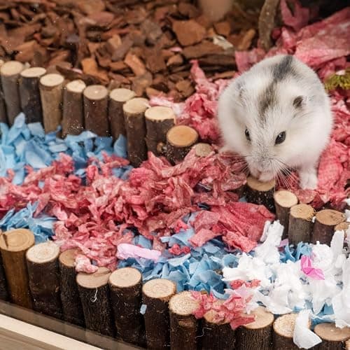 Niteangel Hamster Suspension Bridge Toy - Long Climbing Ladder for Dwarf Syrian Hamster Mice Mouse Gerbils and Other Small Animals (25.6L x 2.8W) thumbnail 5