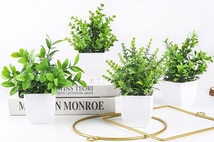 Der Rose 4 Pack Fake Plants, Greenery Potted Plants for Home Decor Indoor | Unique artificial plants, no-care potted greenery, for desk table windowsill bathroom office farmhouse and classroom decor thumbnail 9