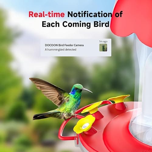 DOCOON Hummingbird Feeder with Camera Solar Powered, Hummingbird Feeders for Outdoors with 2K Bird Watching Camera, Ideal Gifts for Christmas, White Elephant Gifts thumbnail 4
