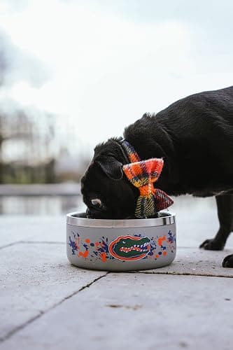 Gametime Sidekicks Michigan Wolverines Dog Bowl - Officially Licensed, 18/8 Stainless Steel, Double-Walled, Vacuum-Insulated, UV LED Printed Logos - thumbnail 2