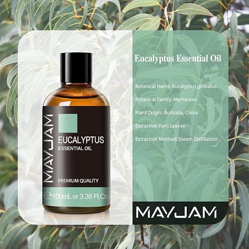 MAYJAM Eucalyptus Essential Oil for Diffuser Soap Candle Making, 100ML | Long Lasting Scents, Eucalyptus Oil for Skin, Ideal for Home Office Yoga Use thumbnail 2