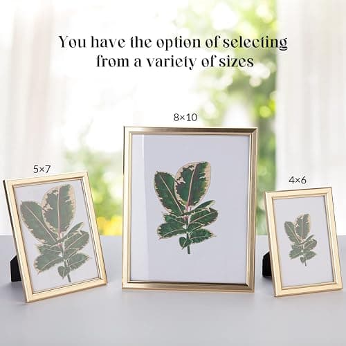 euwazram 8x10 Picture Frame - Set of 5, Matte Gold 8 x 10 Photo Frame with High-Definition Glass, Modern 8x10 frame for Tabletop or Collage Wall, Perfect Christmas Frame thumbnail 2