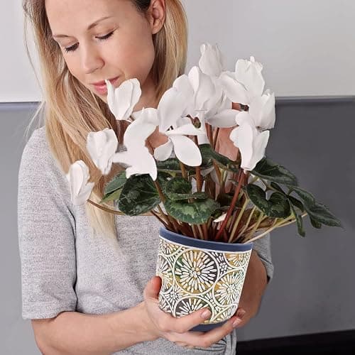 DeeCoo 3 Piece Ceramic Plant pots Indoor Pots Set with Drainage Holes, 5.7/4.7/3.5/inch, Modern Decorative pots Outdoor Plants Lilies, Cacti, Succulents, Snakes, and Bamboo (Blue) - Blue,red thumbnail 6
