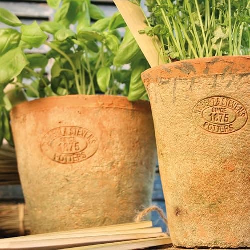 Terracotta Pots thumbnail 4