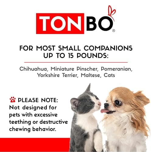 TONBO Soft Plush Small Cute and Cozy Food Dog Cat Bed, Washer and Dryer Friendly (Strawberry) thumbnail 6