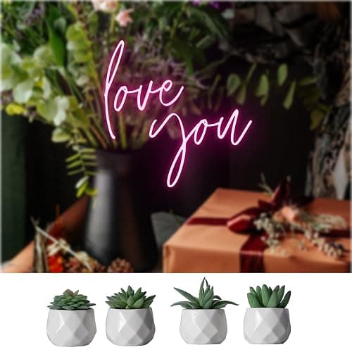 CADNLY Fake Succulent Plant Set - Artificial Plants for Women Desk - Realistic Faux Succulents in Ceramic Pots - Mini Green Decor for Bedroom Bathroom Office Shelf 4 Pack thumbnail 5