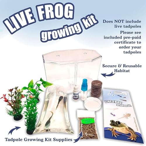 Tadpole to Frog Kit with Certificate for 2 Live Tadpoles, All-in-One Bundle | Watch metamorphosis with this complete tadpole kit, an all-in-one bundled engaging science project thumbnail 5