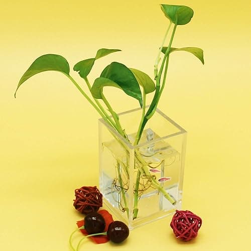 2 Pack Clear Acrylic Pencil Pen Holder Cup,Desk Accessories Holder,Makeup Brush Storage Organizer,Modern Design Desktop Stationery Organizer for Office School Home Supplies,2.6x 2.6x 4 inches thumbnail 6