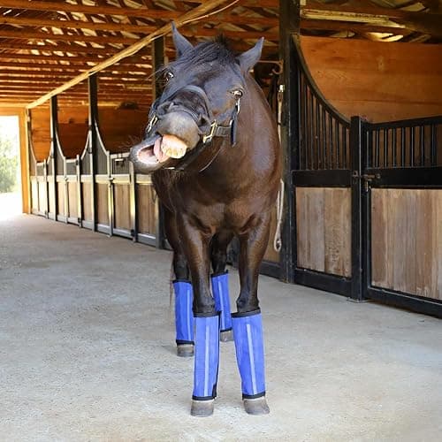 Jeffers Romper Stomper Fly Boots for Horses - Grey, Large – Breathable Mesh Leg Wraps for Insect Protection, Stable Accessories for Summer Turnout, Ride Gear, Horse Hoof & Leg Care - 4 Pack - Indigo - Small thumbnail 4