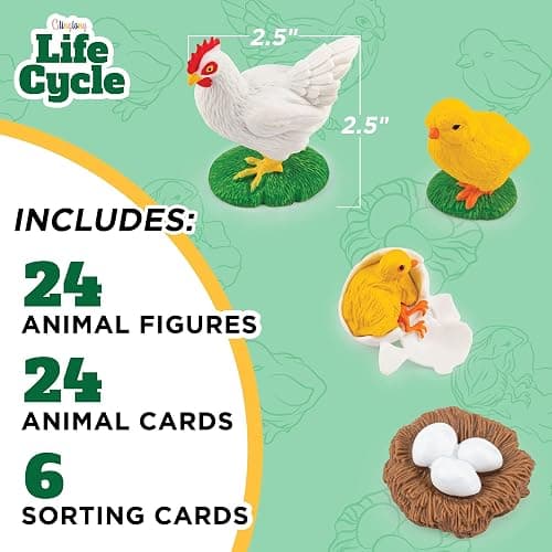 Life Cycle Animal Kit - Montessori Science Toy with 24-Piece Matching Game, Butterfly, Frog, Chicken, Bee, Ladybug and Turtle STEM Educational Gift, Easter Basket fillers for Kids Ages 3-8 thumbnail 2