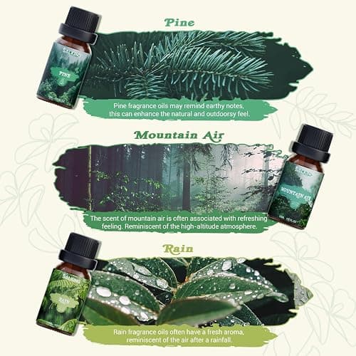 SALKING Nature Fragrance Oils, Premium Essential Oil for Diffuser, Scented Oil Gift Set for Soap Candle Making - Pine, Ocean Breeze, Rain, Fresh Cut Grass, Wildflowers, Mountain Air thumbnail 4